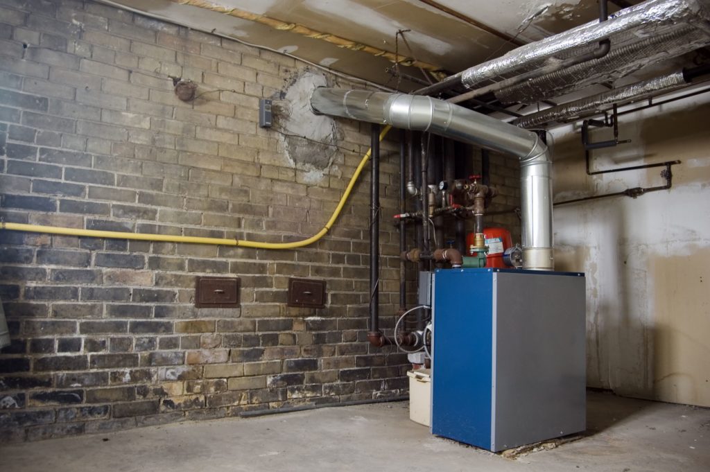 6 Tips to Keep Your Basement in Chicago Insect-Free
