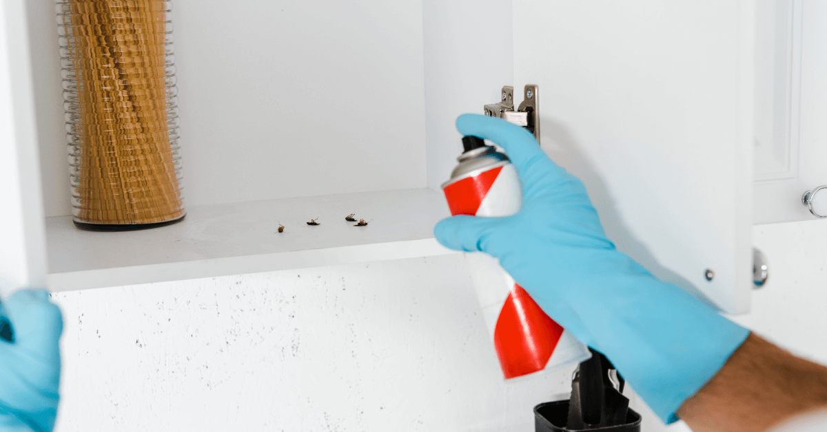 Tackling the Challenge of Restaurant Pest Problems with A-Alert Exterminating Service