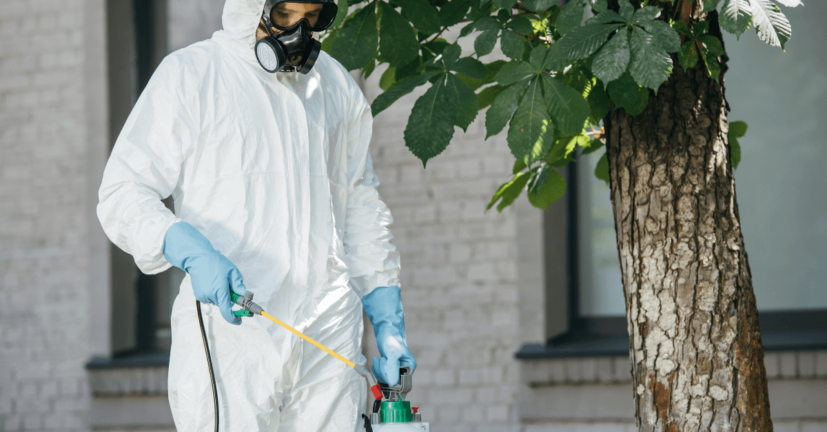 Why Hiring an Exterminator is Necessary for Flying Stinging Pests?